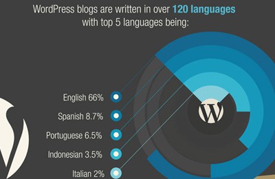 WordPress Infographic – Knowing WordPress At A Glance